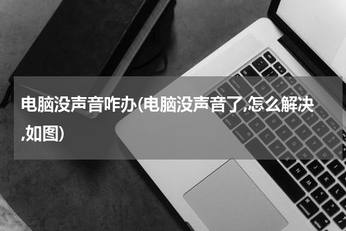 电脑没声音咋办(电脑没声音了,怎么解决,如图)
