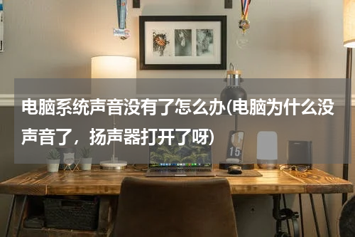 电脑系统声音没有了怎么办(电脑为什么没声音了，扬声器打开了呀)